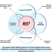 RIS3 - strategy